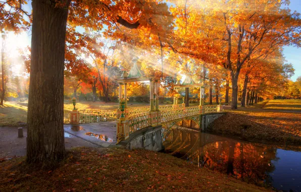 Картинка осень, лучи, свет, деревья, природа, парк, канал, мостик, Ed Gordeev, Гордеев Эдуард, Царское Село, Эдуард …