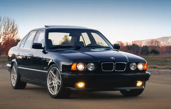 Картинка BMW, E34, 5-Series, 540I
