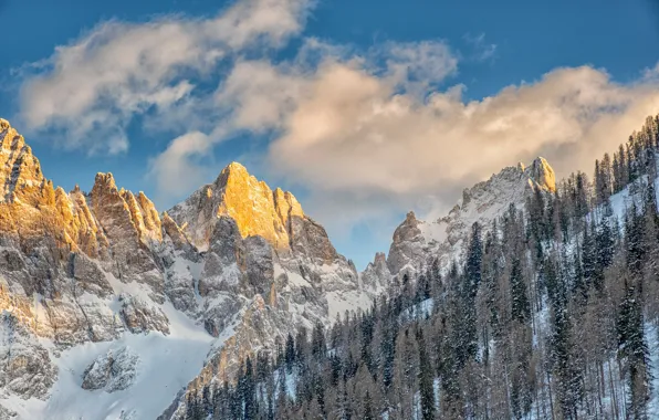Картинка лес, небо, облака, снег, горы, вершины, Италия, Italy, Доломитовые Альпы, Dolomites, Trentino, Трентино, Pala group, …