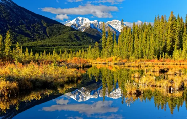 Обои лес, горы, озеро, отражение, Канада, Альберта, Banff National Park ... Канада Обои