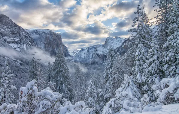 Картинка зима, лес, снег, деревья, горы, ели, Калифорния, California, Yosemite Valley, Yosemite National Park, Сьерра-Невада, Долина …