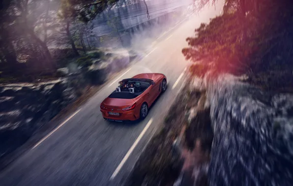 Картинка дорога, красный, движение, скалы, скорость, BMW, родстер, BMW Z4, First Edition, M40i, Z4, 2019, G29