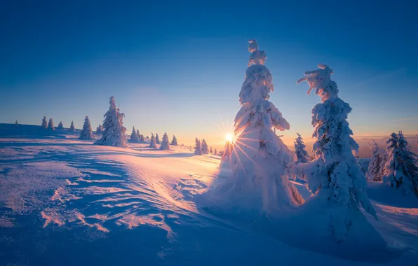 Картинка зима, солнце, лучи, снег, деревья, пейзаж, закат, горы, природа, ели, склон, Словакия, Велька Фатра, Velka …