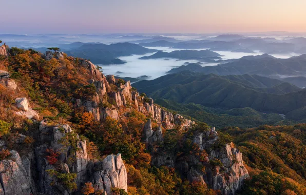 Картинка forest, landscape, South Korea, rocks, fog, hills, Daejeon, Nathaniel Merz, valleys