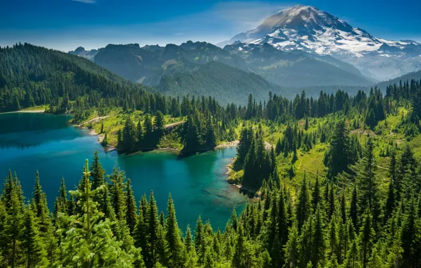Картинка лес, деревья, горы, озеро, Mount Rainier, Каскадные горы, Eunice Lake, Washington State, Cascade Range, Штат …