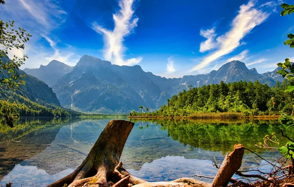 Картинка лес, горы, озеро, отражение, Австрия, Альпы, Austria, Alps, коряги, Almsee, Озеро Альмзе, Lake Alm, Озеро …