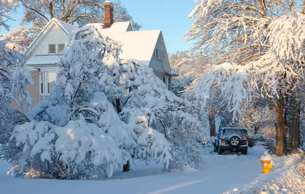 Картинка зима, снег, деревья, пейзаж, природа, дом, автомобиль, Антонина Яновска