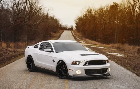 Картинка Mustang, Ford, Shelby, GT500, Shelby GT500, Ford Mustang, Ford Mustang Shelby GT500