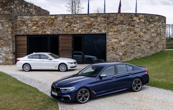 Картинка белый, газон, BMW, стоянка, гибрид, 5er, тёмно-синий, 2017, 5-series, G30, седаны, M550i xDrive, M-performance, 530e …