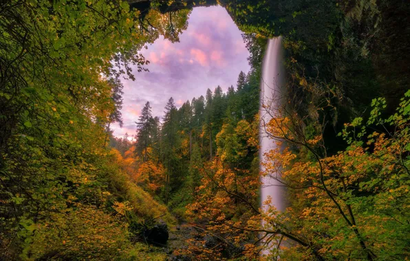 Картинка осень, лес, деревья, водопад, Орегон, Oregon, Silver Falls State Park, South Falls, Государственный парк Сильвер-Фоллс