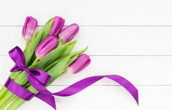 Картинка цветы, букет, лента, тюльпаны, flowers, tulips, purple