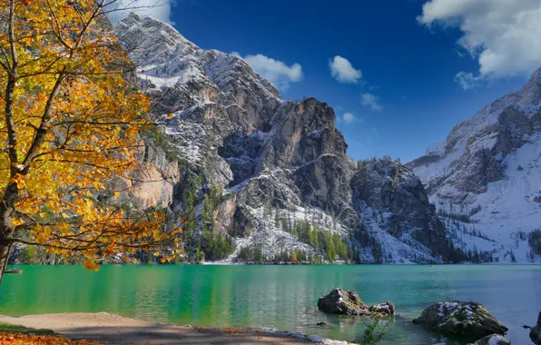 Картинка осень, горы, озеро, дерево, лодки, Италия, Italy, Доломитовые Альпы, Южный Тироль, South Tyrol, Dolomites, Lake …
