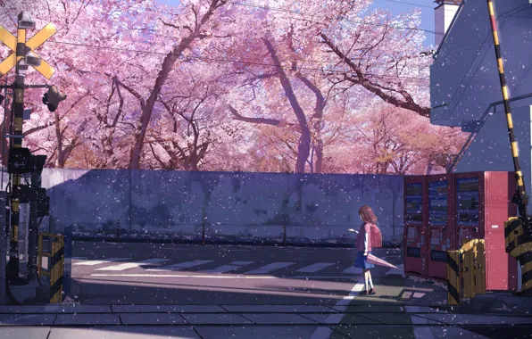 Картинка зонт, Япония, школьница, рюкзак, шлагбаум, лепестки сакуры, пешеходный переход, семафор, бетонная стена, жд пути, цветение …