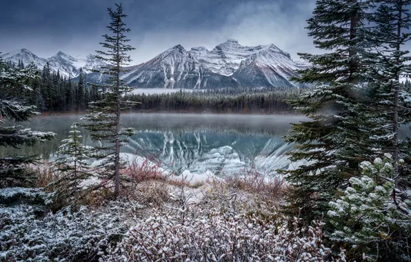 Картинка зима, снег, пейзаж, горы, природа, озеро, Канада, Banff National Park, леса, национальный парк, заповедник, Скалистые …