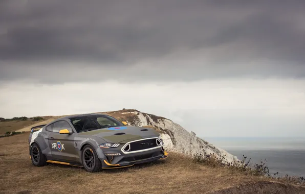 Картинка Ford, 2018, Mustang GT, Eagle Squadron, Белые скалы Дувра