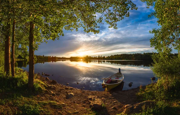 Картинка лес, лето, деревья, закат, река, лодка, Финляндия, Finland, River Oulujoki, Река Оулуйоки