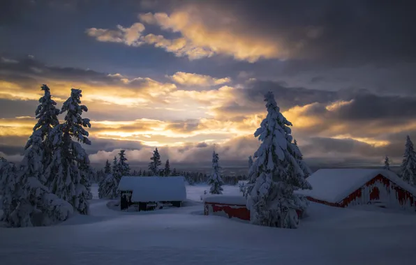 Картинка зима, небо, облака, снег, деревья, природа, туман, рассвет, дома, утро, ели, Jørn Allan Pedersen, Allan …