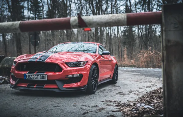 Картинка Mustang, Ford, Shelby, Ford Mustang, GT350, Ford Mustang Shelby GT350, Shelby GT350