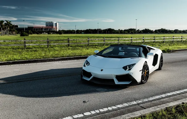 Картинка Lamborghini, Predator, White, Aventador, VAG, Sight