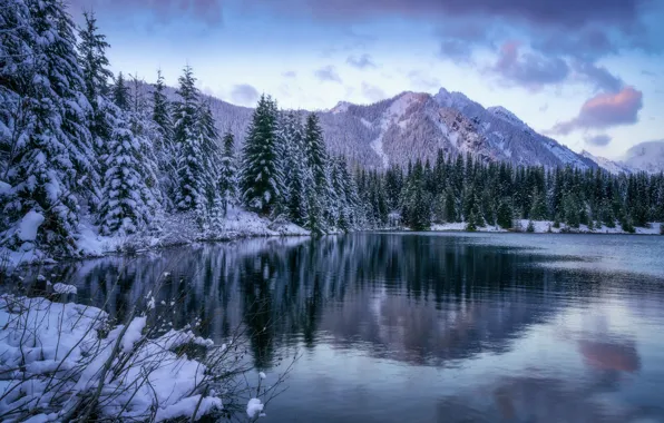 Картинка зима, лес, горы, озеро, пруд, ели, штат Вашингтон, Каскадные горы, Gold Creek Pond, Washington State, …