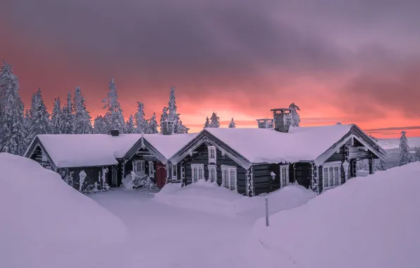 Картинка зима, снег, деревья, пейзаж, природа, рассвет, дома, утро, ели, сугробы, Jørn Allan Pedersen, Allan Pedersen