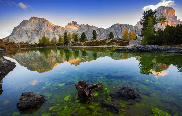 Картинка деревья, пейзаж, горы, природа, озеро, отражение, камни, Италия, Доломиты