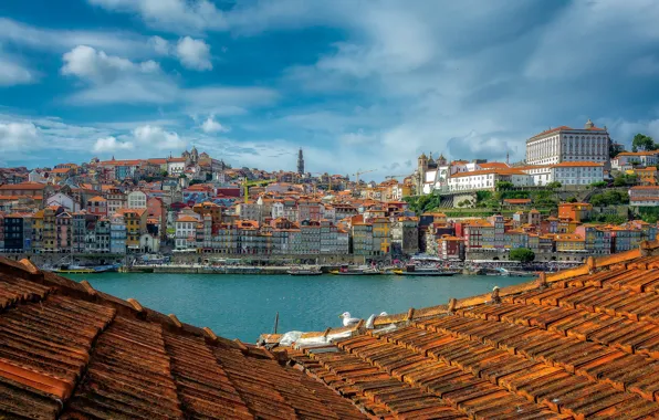 Картинка крыша, река, здания, дома, Португалия, Portugal, Porto, Порту, Douro River, Река Дуэро