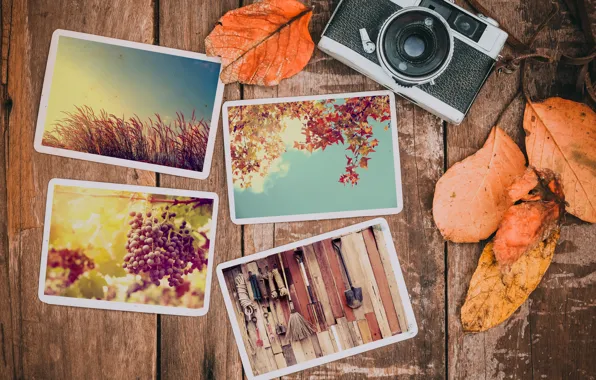Картинка осень, листья, фото, фон, камера, colorful, happy, wood, background, autumn, leaves, осенние