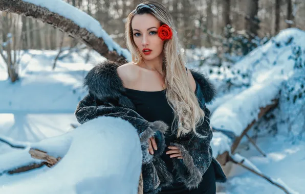 Картинка зима, лес, цветок, взгляд, девушка, снег, поза, роза, блондинка, длинные волосы, Olya Alessandra, Andreas-Joachim Lins