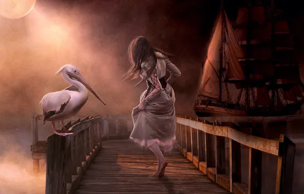 Картинка девушка, корабль, мостик, пеликан