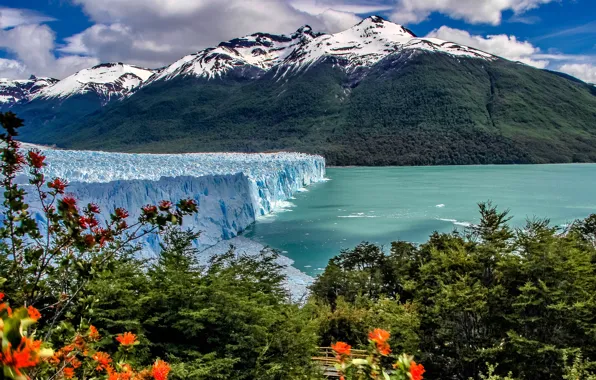 Картинка горы, озеро, ледник, кусты, Argentina, Аргентина, Анды, Patagonia, Патагония, Andes, Perito Moreno Glacier, Los Glaciares …
