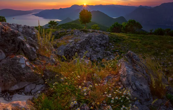 Картинка солнце, лучи, пейзаж, горы, природа, река, камни, растительность, Черногория