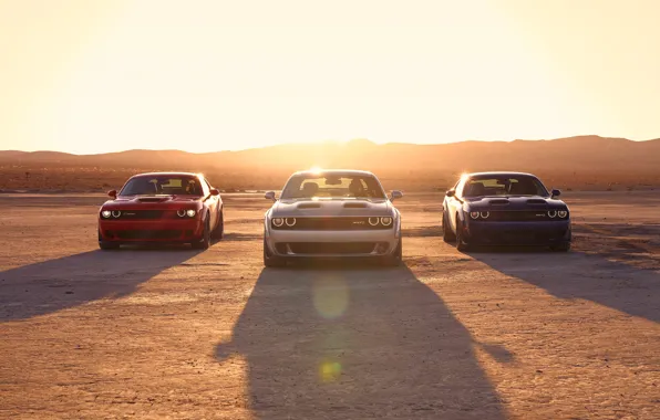 Картинка Dodge, Challenger, Sunset, SRT Hellcat