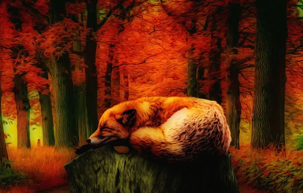 Картинка природа, усталость, красота, сказка, лиса, осенний лес, фЭнтези арт, красная листва деревьев, лис спящий на …