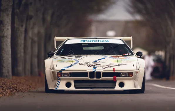 Картинка BMW, Procar Championship, E26, m1