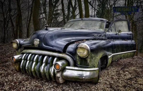 Картинка Car, Buick, Abandoned, Rusty, Oldtimer, Lost Places