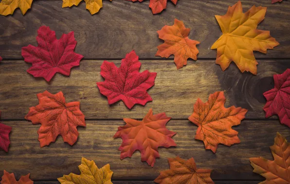 Картинка осень, листья, фон, дерево, wood, background, autumn, leaves, осенние, maple