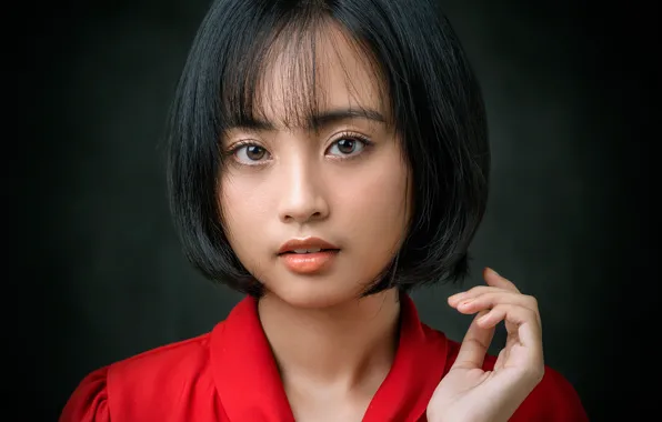 Картинка взгляд, девушка, лицо, стрижка, рука, портрет, азиатка, тёмный фон, Minh Nghi