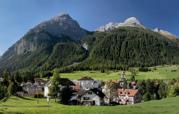 Картинка деревья, горы, дома, Швейцария, долина, деревня, Альпы, Switzerland, Bergün, Бергюн, Albula Alps