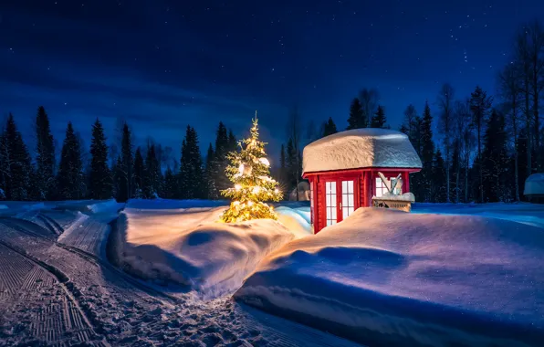 Картинка зима, дорога, лес, снег, деревья, пейзаж, ночь, природа, огни, освещение, ёлка, лампочки, Финляндия, Лапландия, магазинчик
