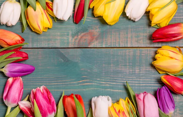 Картинка цветы, colorful, тюльпаны, wood, flowers, tulips, spring