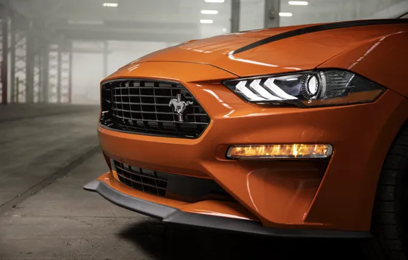 Картинка оранжевый, Mustang, Ford, перед, 2020, фастбэк