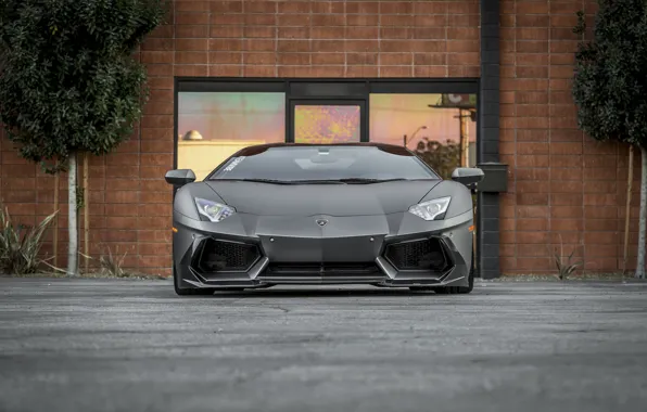 Картинка Lamborghini, Front, Aventador, Face, LP 700-4, VAG, Graphite