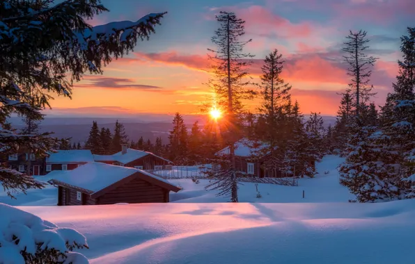 Картинка зима, солнце, снег, деревья, пейзаж, закат, природа, дома, ели, Норвегия, сугробы, Jørn Allan Pedersen, Allan …