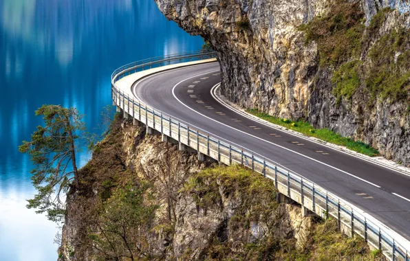 Картинка дорога, скала, озеро, дерево, Швейцария, Switzerland, сосна, Lake Thun, Тунское озеро, Thunersee