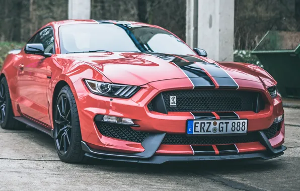 Картинка Ford, Shelby, Ford Mustang, GT350, Ford Mustang Shelby GT350