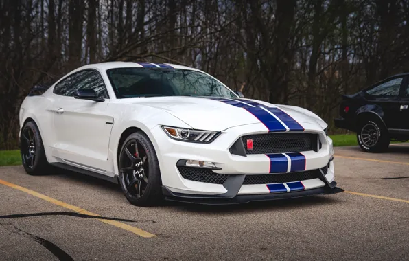 Картинка Mustang, Ford, Shelby, GT350, Шелби, Форд Мустанг, Ford Mustang Shelby GT350