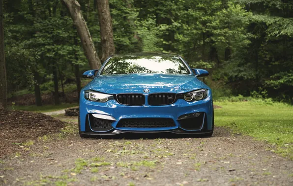 Картинка BMW, Blue, Forest, F83