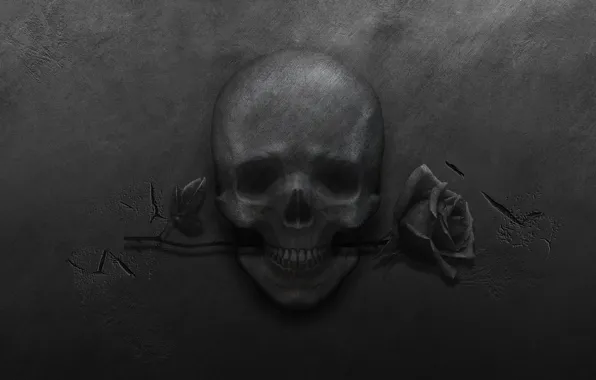 Картинка металл, трещины, роза, череп, черный фон