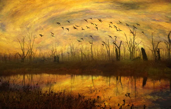 Картинка осень, небо, трава, вода, облака, свет, деревья, полет, пейзаж, закат, птицы, оранжевый, ветки, желтый, природа, …